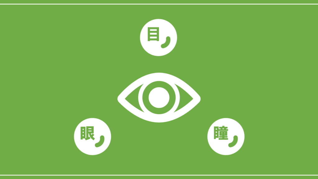 意外と知らない 目 眼 瞳 の違いについて理解しよう Nktat情報局