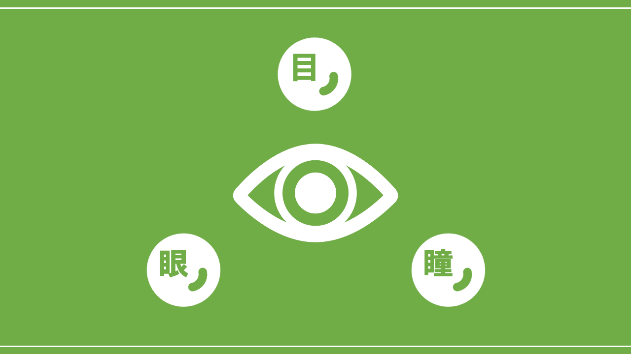 意外と知らない 目 眼 瞳 の違いについて理解しよう Nktat情報局